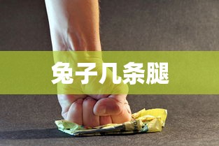 兔子几条腿  第1张