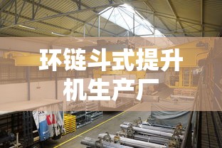 环链斗式提升机生产厂  第1张