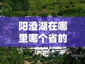 阳澄湖在哪里哪个省的哪个区  第1张