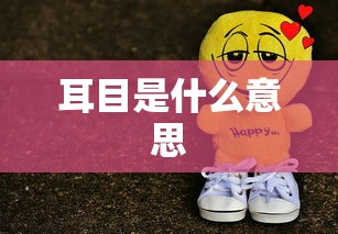 耳目是什么意思  第1张