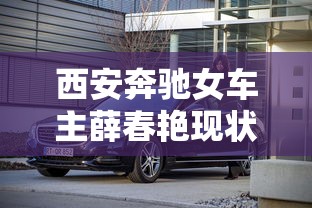 西安奔驰女车主薛春艳现状  第1张
