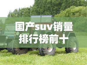 国产suv销量排行榜前十名  第1张