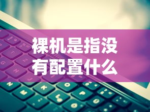 裸机是指没有配置什么的计算机  第1张