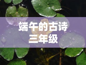端午的古诗三年级  第1张