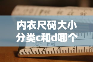 内衣尺码大小分类c和d哪个大  第1张