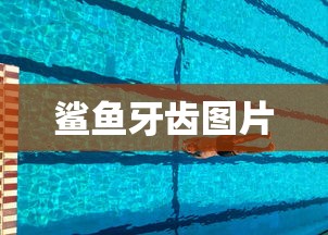 鲨鱼牙齿图片  第1张