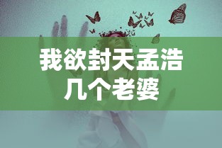 我欲封天孟浩几个老婆  第1张