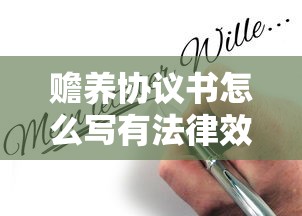 赡养协议书怎么写有法律效力  第1张