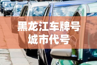 黑龙江车牌号城市代号  第1张