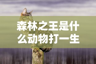 森林之王是什么动物打一生肖  第1张