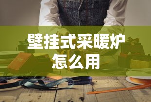 壁挂式采暖炉怎么用  第1张