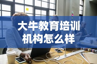 大牛教育培训机构怎么样  第1张