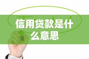 信用贷款是什么意思  第1张