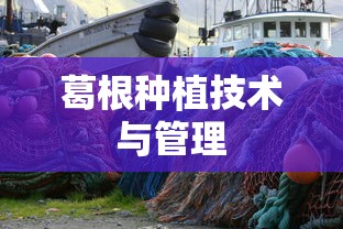 葛根种植技术与管理  第1张