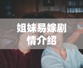 姐妹易嫁剧情介绍  第1张