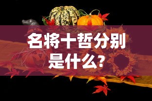 名将十哲分别是什么?  第1张