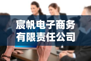 宸帆电子商务有限责任公司  第1张