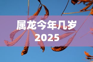 属龙今年几岁2025  第1张