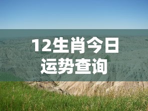 12生肖今日运势查询  第1张