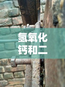 氢氧化钙和二氧化碳反应方程式和现象  第1张