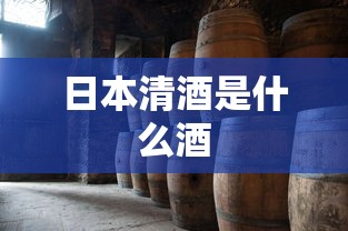 日本清酒是什么酒  第1张