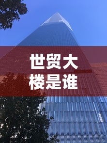 世贸大楼是谁撞的  第1张