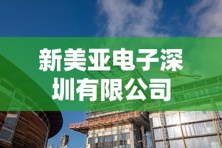 新美亚电子深圳有限公司  第1张