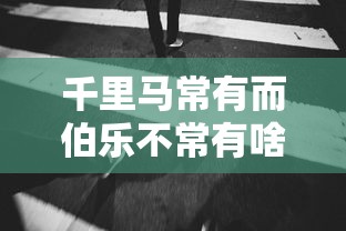 千里马常有而伯乐不常有啥意思  第1张
