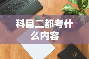 科目二都考什么内容  第1张