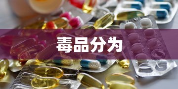 毒品分为  第1张