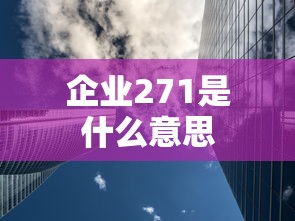 企业271是什么意思  第1张