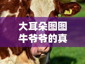 大耳朵图图牛爷爷的真实身份  第1张