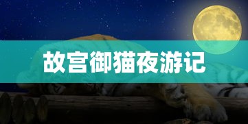 故宫御猫夜游记  第1张