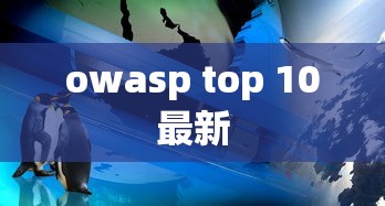 owasp top 10最新  第1张