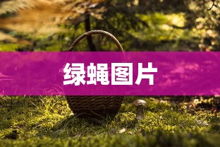绿蝇图片  第1张