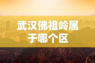 武汉佛祖岭属于哪个区  第1张