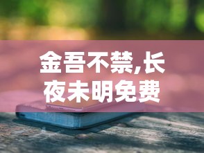金吾不禁,长夜未明免费阅读  第1张