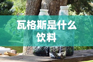 瓦格斯是什么饮料  第1张
