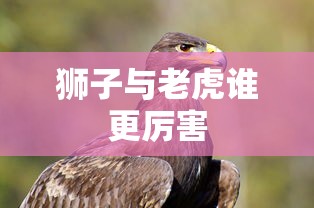 狮子与老虎谁更厉害  第1张