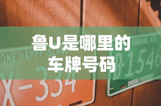鲁U是哪里的车牌号码  第1张
