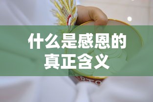 什么是感恩的真正含义  第1张