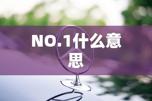 NO.1什么意思  第1张