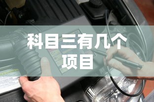 科目三有几个项目  第1张