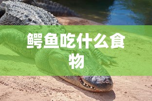 鳄鱼吃什么食物  第1张