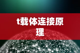 t载体连接原理  第1张