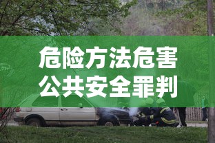 危险方法危害公共安全罪判多少年  第1张