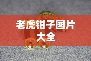 老虎钳子图片大全  第1张