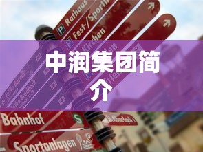 中润集团简介  第1张