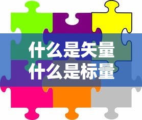 什么是矢量什么是标量  第1张