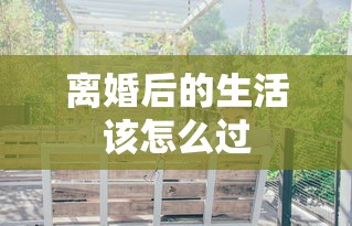 离婚后的生活该怎么过  第1张